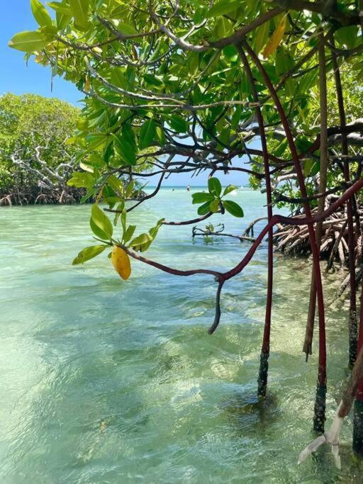 Appartamento Les Pieds Dans L'Eau Chez Syl Le Moule Esterno foto
