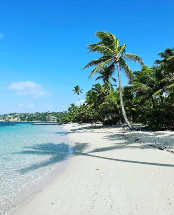 Appartamento Les Pieds Dans L'Eau Chez Syl Le Moule Esterno foto