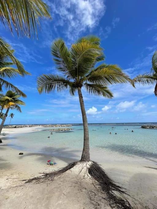 Appartamento Les Pieds Dans L'Eau Chez Syl Le Moule Esterno foto